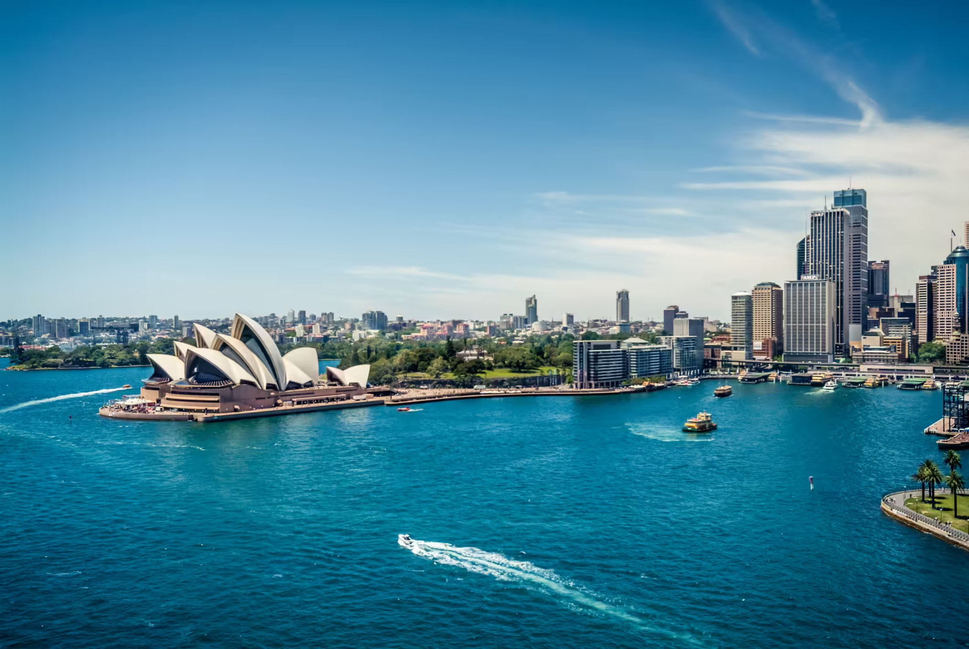 Sydney Harbour with the Opera House and CBD skyline, representing our NSW statewide service area